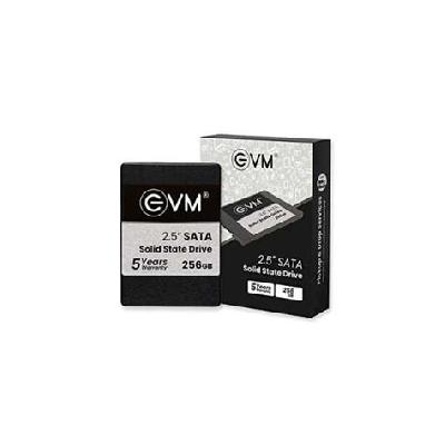 Evm25 256gb 256gb Ssd 2.5" Inch Sata